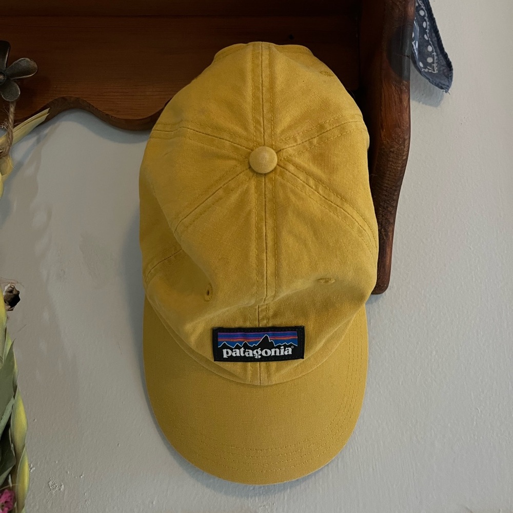 Patagonia Hat